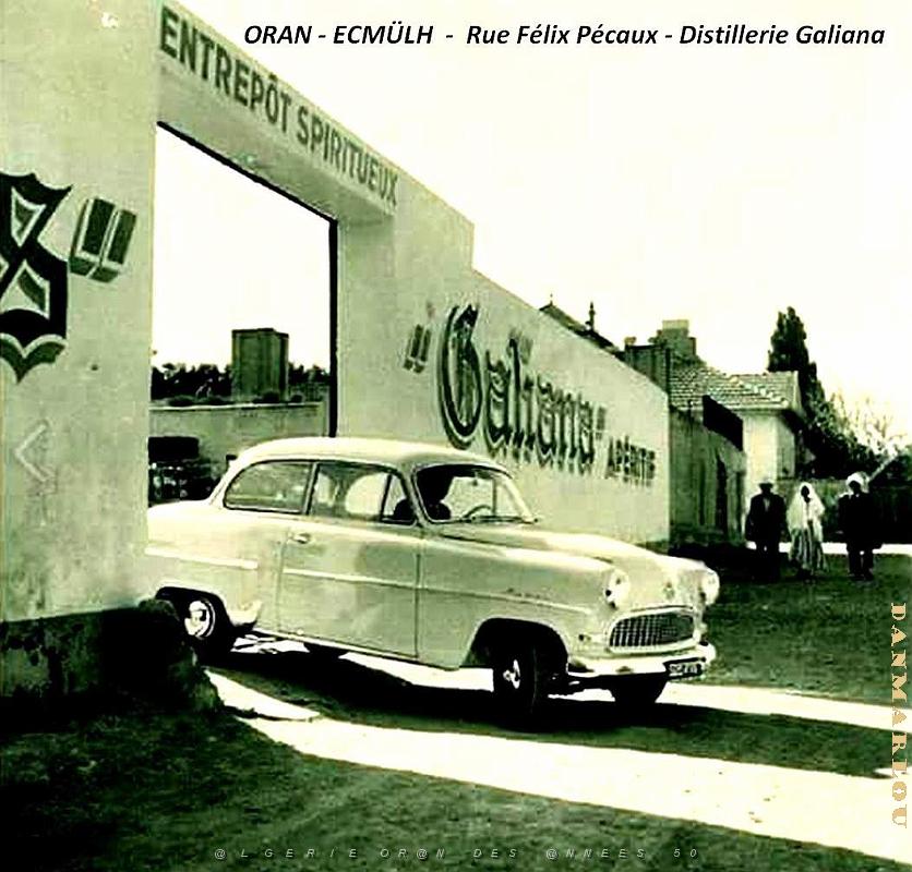 Oran - Eckmulh - Rue Felix Pecaux - Distillerie Galiana.jpg